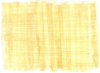 Couverture du livre « Véritables papyrus ; lot de 4 feuilles » de  aux éditions Dg-exodif