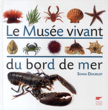 Couverture du livre « Le musée vivant du bord de mer » de Sonia Dourlot aux éditions Delachaux & Niestle
