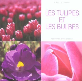 Couverture du livre « Les tulipes et les bulbes » de Colombo et Bent aux éditions De Vecchi