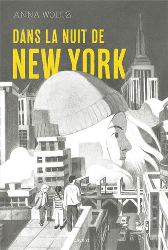 Couverture du livre « Dans la nuit de New York » de Anna Woltz aux éditions Bayard Jeunesse