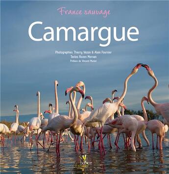 Couverture du livre « Camargue » de Thierry Vezon et Rozen Morvan et Alain Fournier aux éditions Biotope