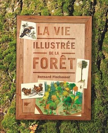 Couverture du livre « La vie illustrée de la forêt » de Bernard Fischesser aux éditions Delachaux & Niestle