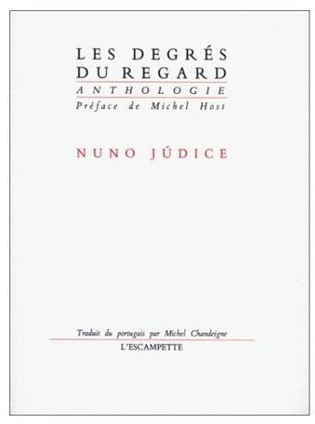 Couverture du livre « Les degres du regard - anthologie » de Nuno Judice aux éditions Escampette