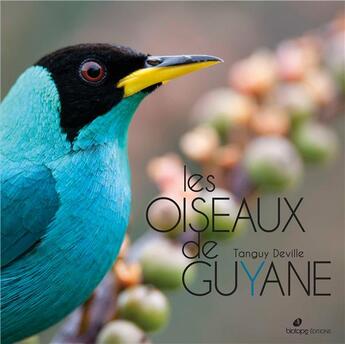 Couverture du livre « Les oiseaux de Guyane » de Tanguy Deville aux éditions Biotope