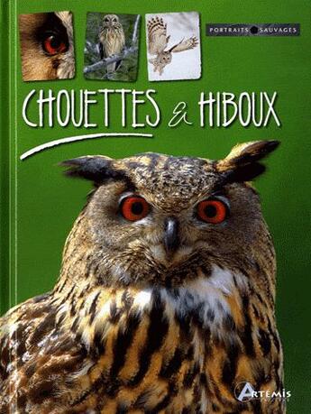 Couverture du livre « Chouettes et hiboux » de Michel Cuisin aux éditions Artemis