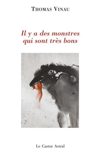 Couverture du livre « Il y a des monstres qui sont très bons » de Thomas Vinau aux éditions Castor Astral