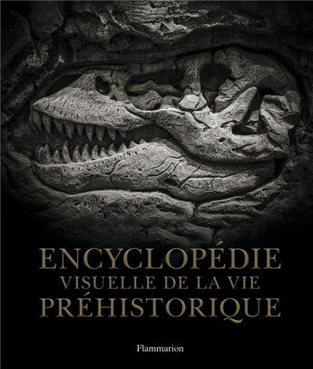 Couverture du livre « Encyclopédie visuelle de la vie préhistorique » de  aux éditions Flammarion
