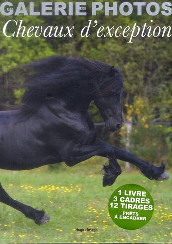 Couverture du livre « Ma galerie de photos ; chevaux d'exception » de Alain Laurioux et Delphine Germain aux éditions Hugo Image
