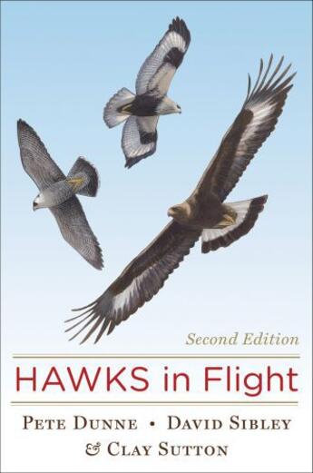 Couverture du livre « Hawks in Flight » de Sibley David aux éditions Houghton Mifflin Harcourt