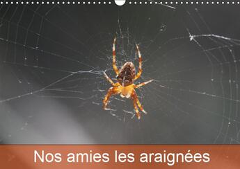 Couverture du livre « Le monde des araignees et des » de Martine Julien aux éditions Calvendo