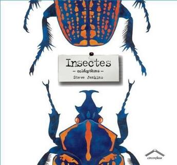Couverture du livre « Insectes ; coléoptères » de Steve Jenkins aux éditions Circonflexe