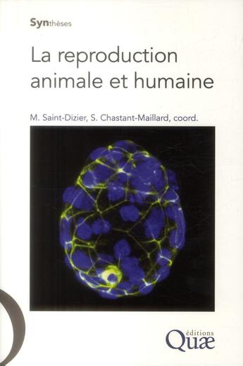 Couverture du livre « La reproduction animale et humaine » de Sylvie Chastant-Maillard et Marie Saint-Dizier aux éditions Quae