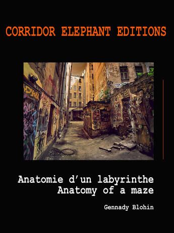 Couverture du livre « Anatomie d'un labyrinthe » de Gennady Blohin aux éditions Corridor Elephant
