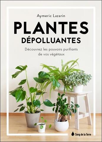 Couverture du livre « Plantes dépolluantes : découvrez les pouvoirs purifiants de vos végétaux » de Aymeric Lazarin aux éditions Sang De La Terre