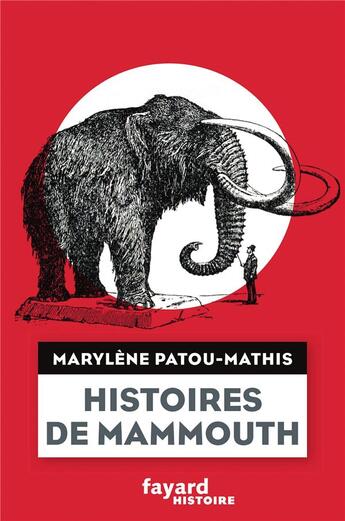 Couverture du livre « Histoires de mammouth » de Marylene Patou-Mathis aux éditions Fayard
