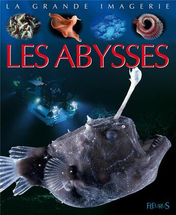 Couverture du livre « Les abysses » de Laure Cambournac aux éditions Fleurus