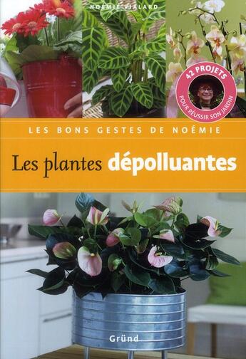 Couverture du livre « Les plantes depolluantes » de Vialard/Loppe aux éditions Grund