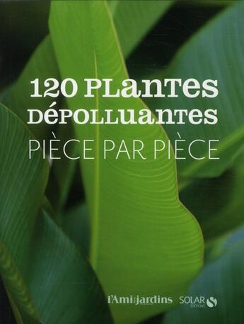 Couverture du livre « 120 plantes dépolluantes ; pièce par pièce » de Rosenn Le Page aux éditions Solar