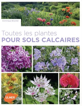 Couverture du livre « Toutes les plantes pour sols calcaires » de Dominique Brochet aux éditions Eugen Ulmer