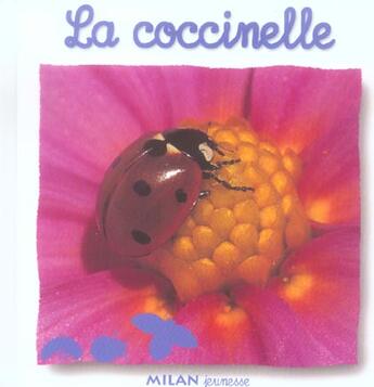 Couverture du livre « Coccinelle (la) » de Scheidhauer-Fradin N aux éditions Milan