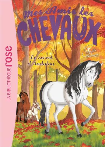 Couverture du livre « Mes amis les chevaux t.19 : le secret d'Andalou » de Sophie Thalmann aux éditions Hachette Jeunesse