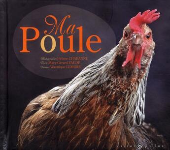 Couverture du livre « Ma poule » de Mary-Gerard Vaude aux éditions Castor Et Pollux