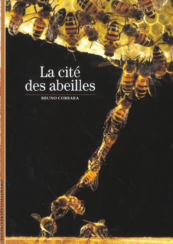 Couverture du livre « La cite des abeilles » de Bruno Corbara aux éditions Gallimard