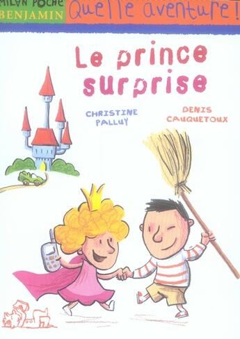 Couverture du livre « Le prince surprise » de Christine Palluy et Denis Croquetoux aux éditions Milan