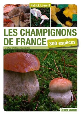 Couverture du livre « Champignons de France ; 300 espèces » de Patrick Laurent aux éditions Sud Ouest Editions