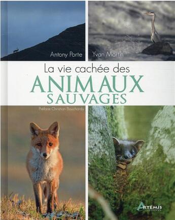 Couverture du livre « La vie cachée des animaux sauvages » de Anthony Porte et Yvan Martin aux éditions Artemis