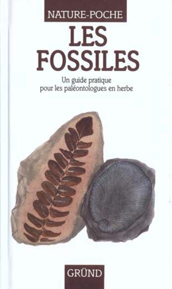 Couverture du livre « Les Fossiles » de Gee/Fitzsimons aux éditions Grund