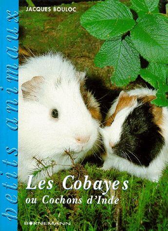 Couverture du livre « Les cobayes ou cochons d'inde » de Jacques Bouloc aux éditions Bornemann
