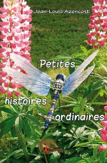 Couverture du livre « Petites histoires ordinaires » de Azencott Jean-Louis aux éditions Edilivre
