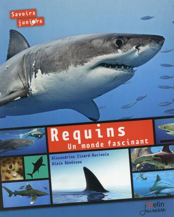 Couverture du livre « Requins ; un monde fascinant » de Alain Beneteau et Alexandrine Civard-Racinais aux éditions Belin Education
