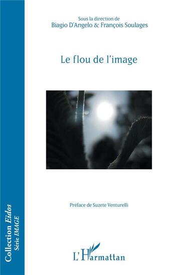 Couverture du livre « Le flou de l'image » de Francois Soulages et Biaggio D'Angelo aux éditions L'harmattan