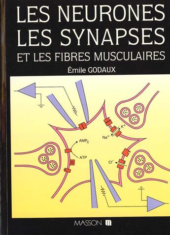Couverture du livre « Les neurones les synapses » de Emile Godaux aux éditions Elsevier-masson