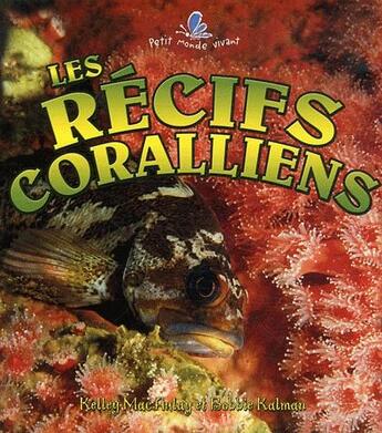 Couverture du livre « Les recifs coralliens » de Kalman Bobbie Macaul aux éditions Bayard Canada