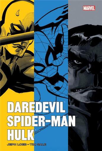 Couverture du livre « Daredevil ; Spider-Man ; Hulk » de Tim Sale et Jeph Loeb aux éditions Panini