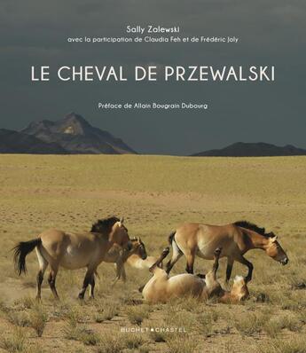 Couverture du livre « Le cheval de Przewalski » de Sally Zalewski aux éditions Buchet Chastel