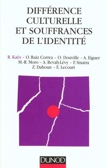 Couverture du livre « Differences Culturelle Et Souffrances De L'Identite » de Rene Kaes aux éditions Dunod