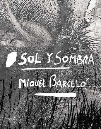 Couverture du livre « Sol y sombra ; Miquel Barceló » de Alberto Manguel et Marie-Laure Bernadac aux éditions Actes Sud
