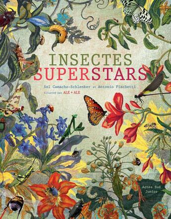 Couverture du livre « Insectes superstars » de Antonio Fischetti et Sol Camacho-Schlenker aux éditions Actes Sud Junior