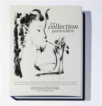 Couverture du livre « Une collection particulière ; collection de la fondation des Treilles » de Daniele Giraudy aux éditions Trocadero