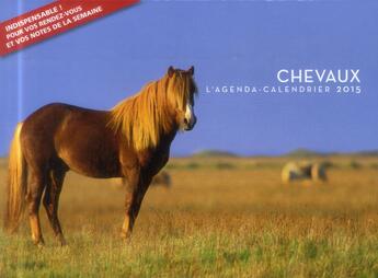 Couverture du livre « L'agenda-calendrier 2015 ; chevaux » de  aux éditions Hugo Image