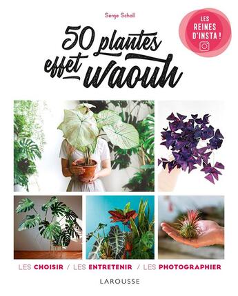 Couverture du livre « 50 plantes effet waouh ; les choisir, les entretenir, les photographier » de Serge Schall aux éditions Larousse