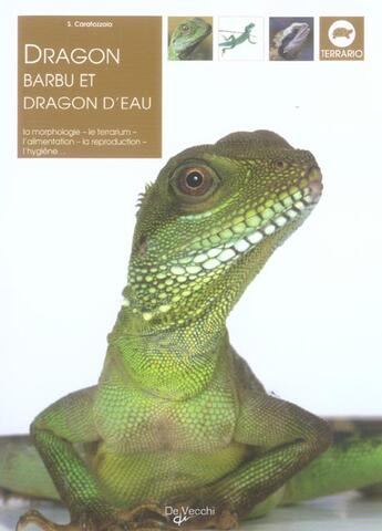 Couverture du livre « Dragon barbu et dragon d'eau » de S. Caralozzolo aux éditions De Vecchi