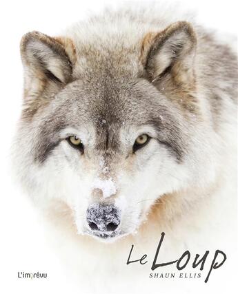 Couverture du livre « Le loup » de Shaun Ellis aux éditions L'imprevu