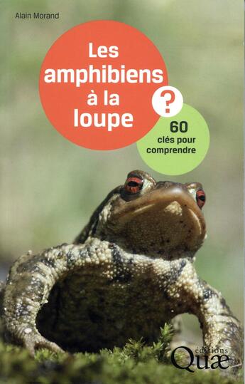 Couverture du livre « Les amphibiens à la loupe » de Alain Morand aux éditions Quae