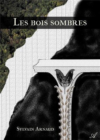 Couverture du livre « Les bois sombres » de Arnaud Sylvain aux éditions Atramenta