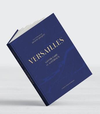 Couverture du livre « Versailles ; savoir-faire et matériaux » de Hugues Jacquet aux éditions Actes Sud